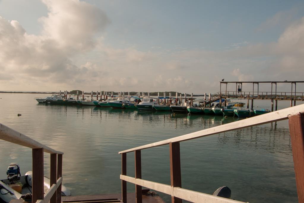 Chez Manany Galapagos Ecolodge ปวยร์โต วิลยามิล ภายนอก รูปภาพ