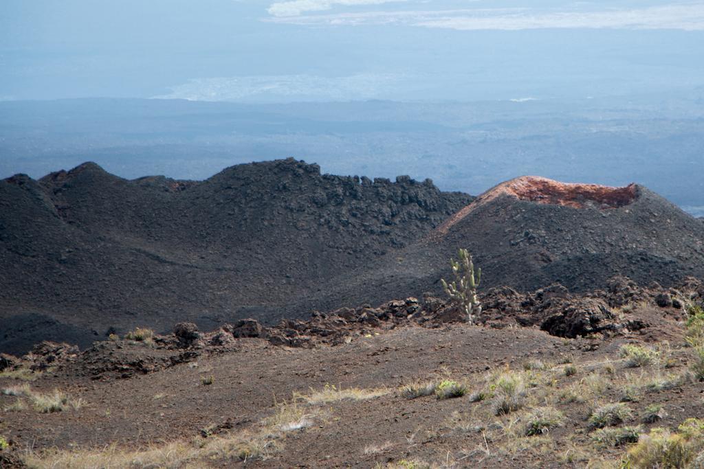 Chez Manany Galapagos Ecolodge ปวยร์โต วิลยามิล ภายนอก รูปภาพ