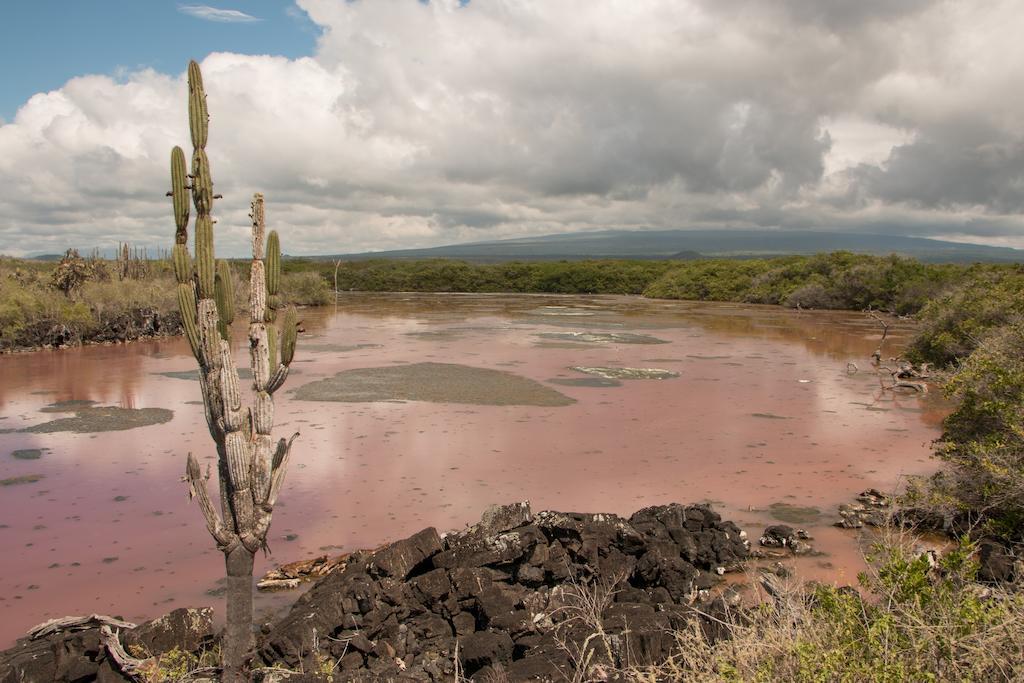 Chez Manany Galapagos Ecolodge ปวยร์โต วิลยามิล ภายนอก รูปภาพ