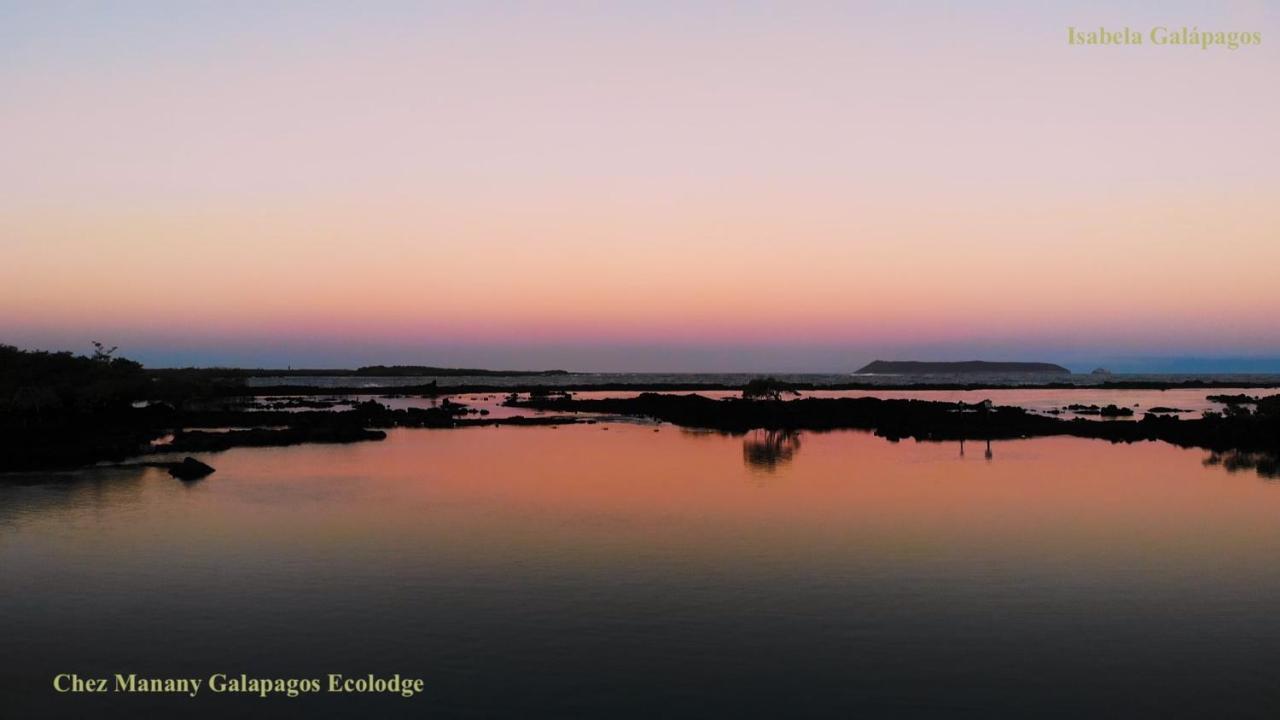 Chez Manany Galapagos Ecolodge ปวยร์โต วิลยามิล ภายนอก รูปภาพ
